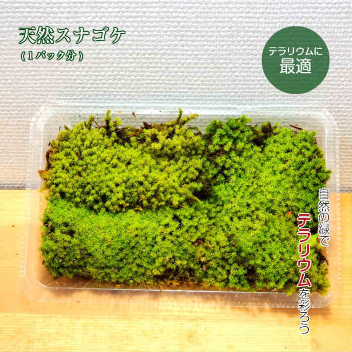天然スナゴケ 1パック分 | 弥栄苔 本店