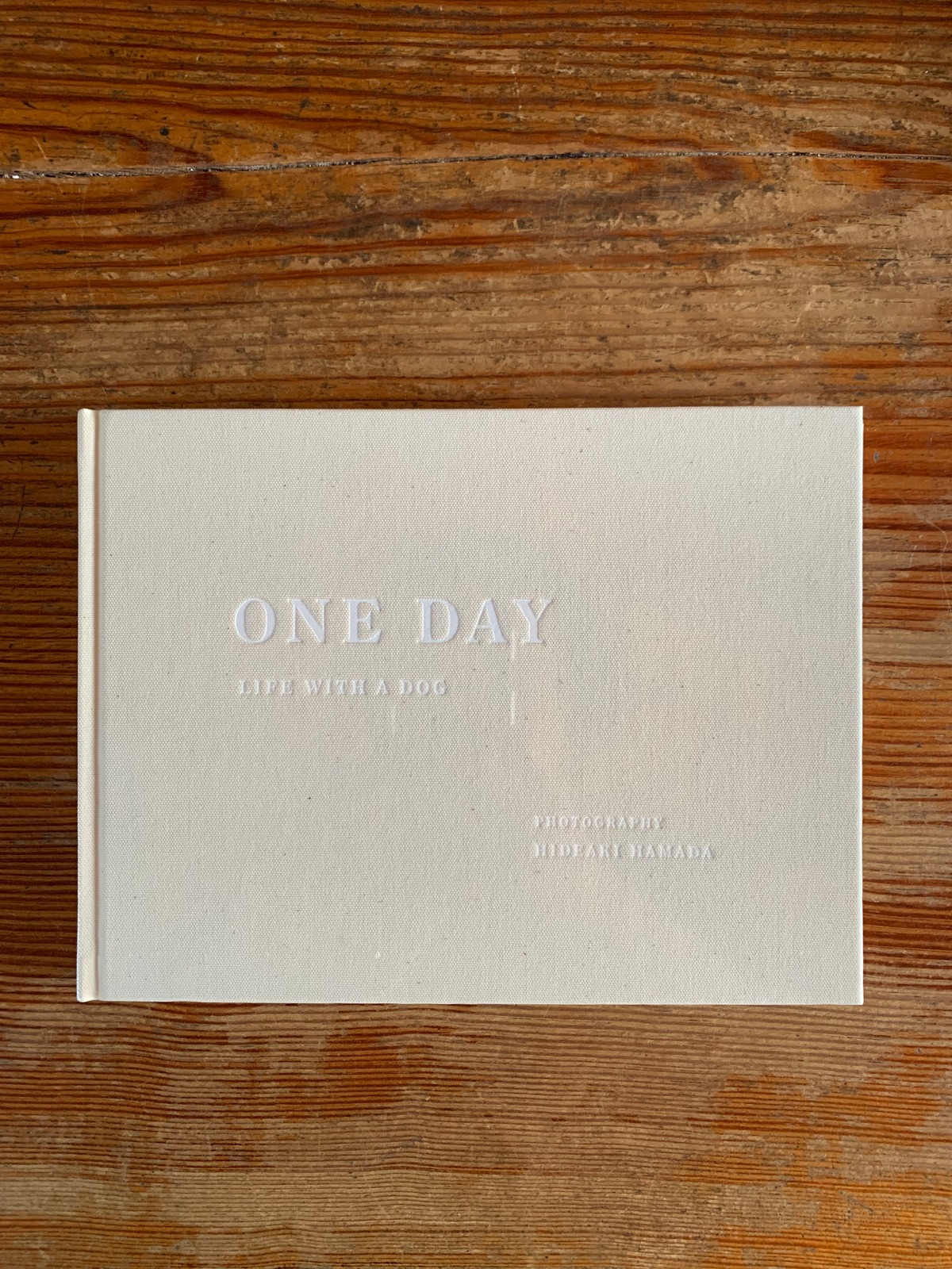古書】濱田英明『ONE DAY』 | STANDARD BOOKSTORE