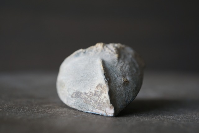 セプタリアン 特殊 Septarian 1187