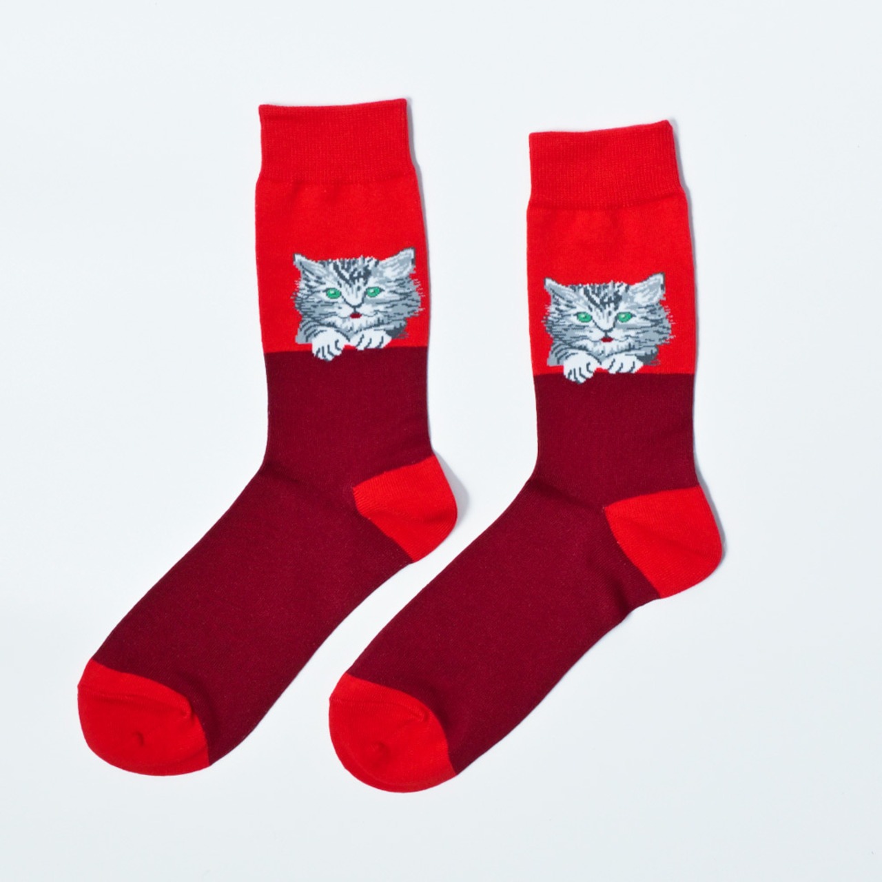 Kitten socks 子猫ソックス - 2