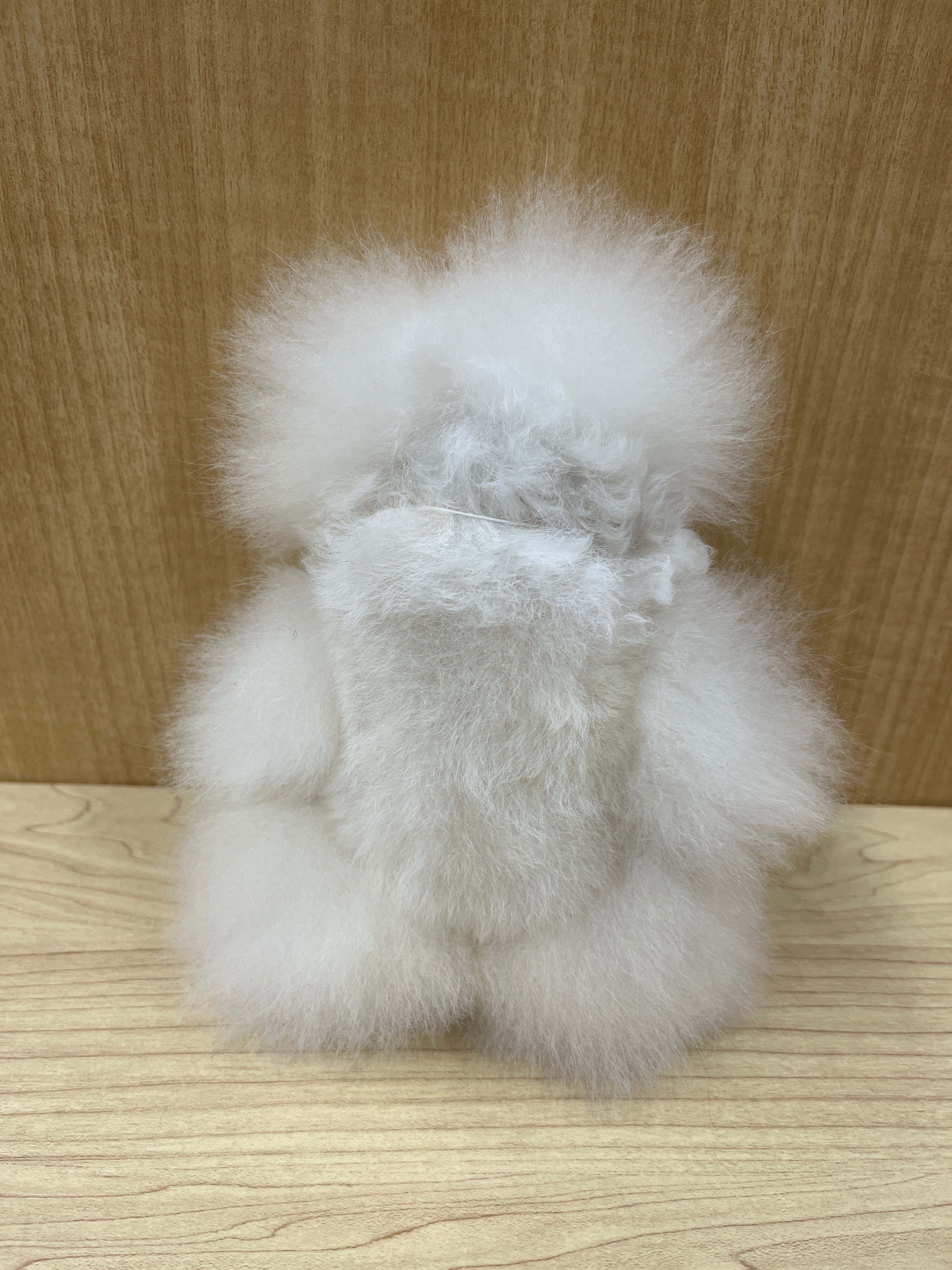 ベビーアルパカ純毛 テディベア 小 WHBR | ALPACA WORLD