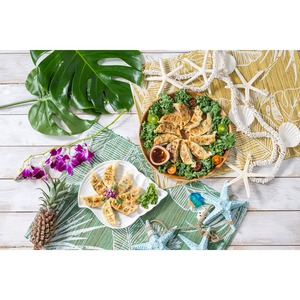PEACE CAFE HAWAII ピースカフェハワイ  PEACEFUL GYOZA（ピースフル 餃子）プラントベース＆ヴィーガン 10個入×2パック