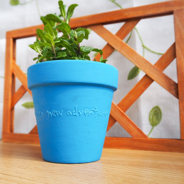 【あざやかライフシリーズ】　新しい冒険に乾杯！