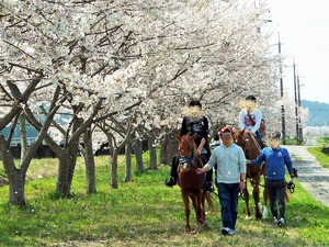 馬とお花見2024【４月６日(土)】　※開催日変更しました。