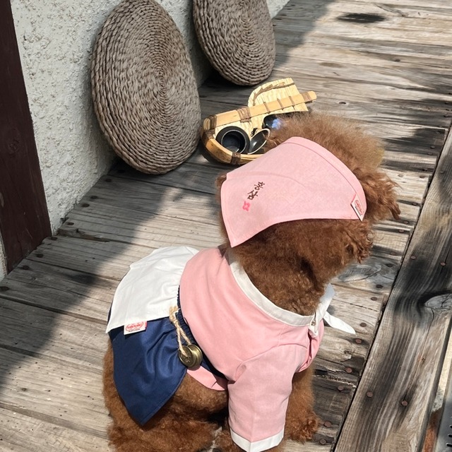 【予約】[tak!tak!tak!tak!] 香壇韓服 Two Piece / pink / navy