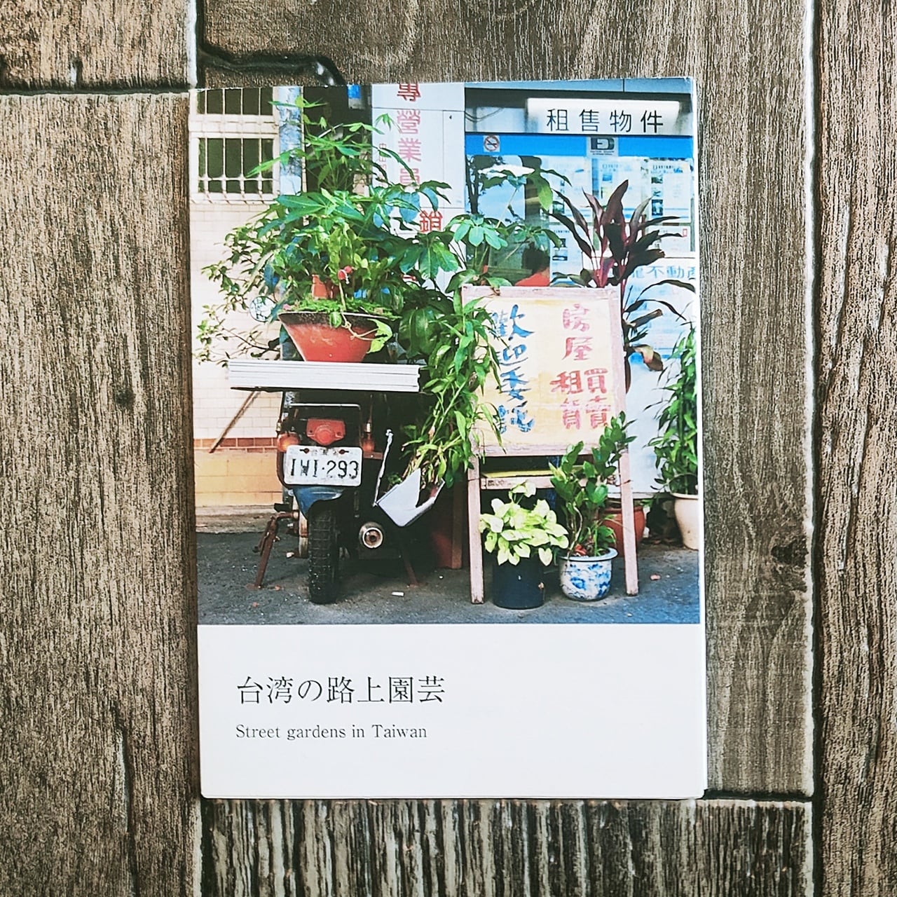 自然 Nature | NutsBookStand