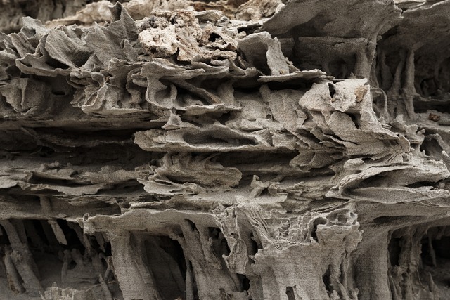 Details of Sand Tufa #MonoLake