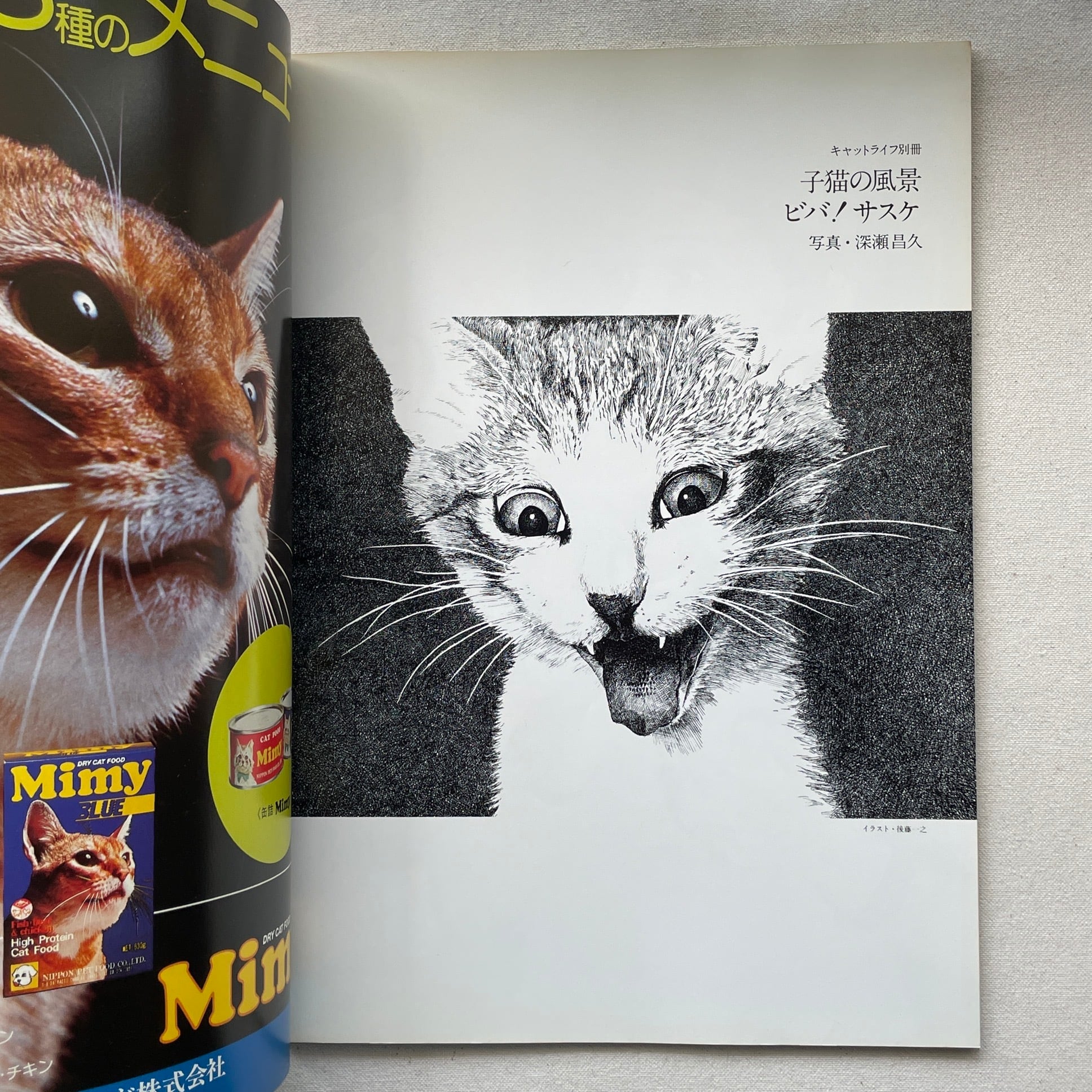 ビバ!サスケ | 深瀬昌久写真集 | 汀線 / TEISEN BOOKS
