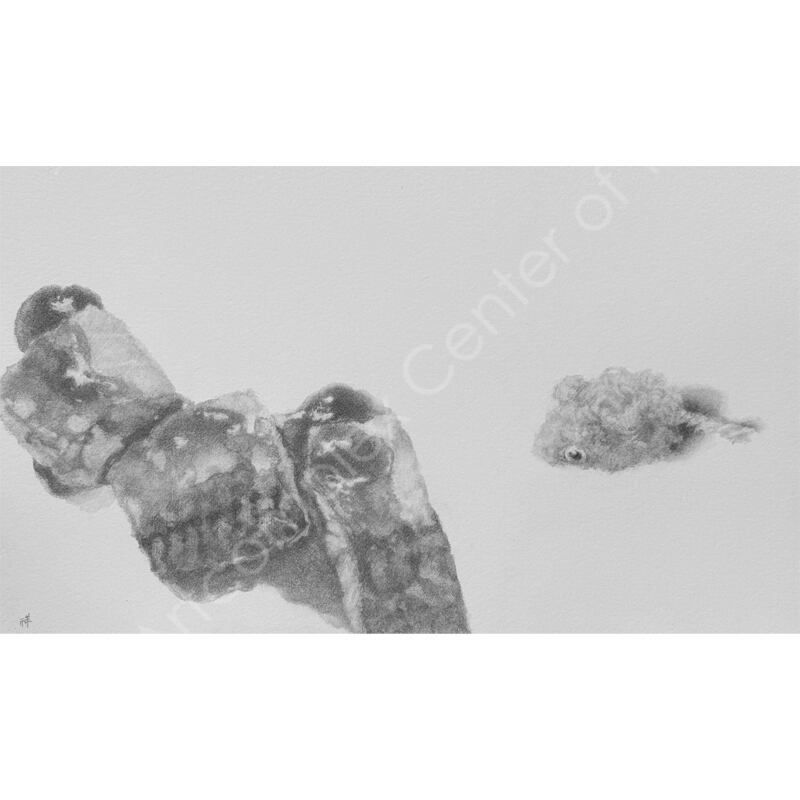 酒井祥子「狙われた鯖味噌」