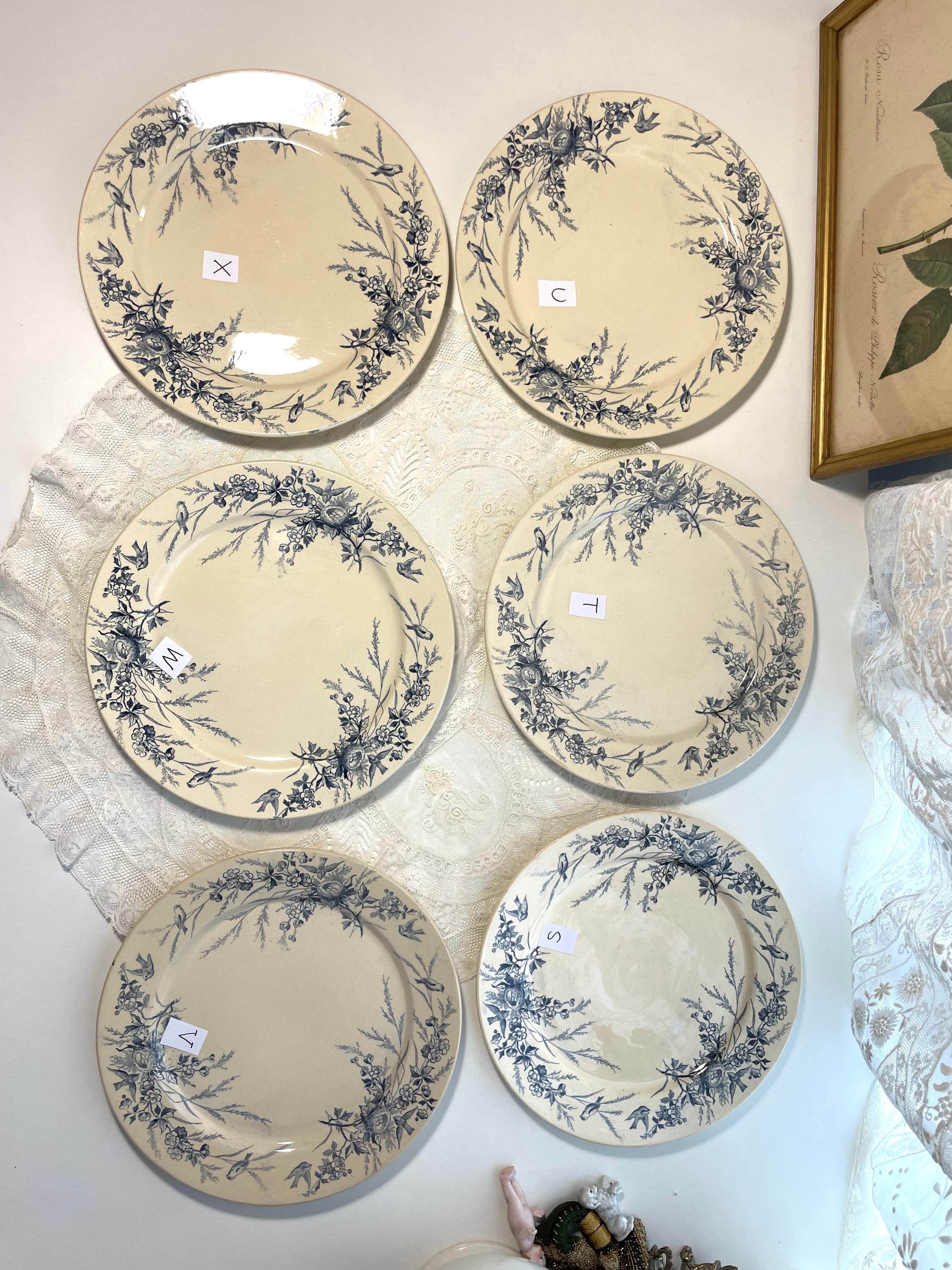 Creil et Montereau ディナープレート アンティーク 【公式通販】