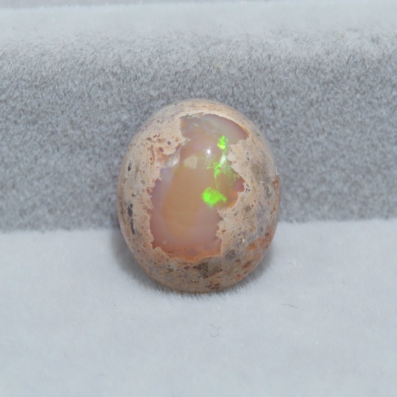 カンテラオパール | 洋灯舎