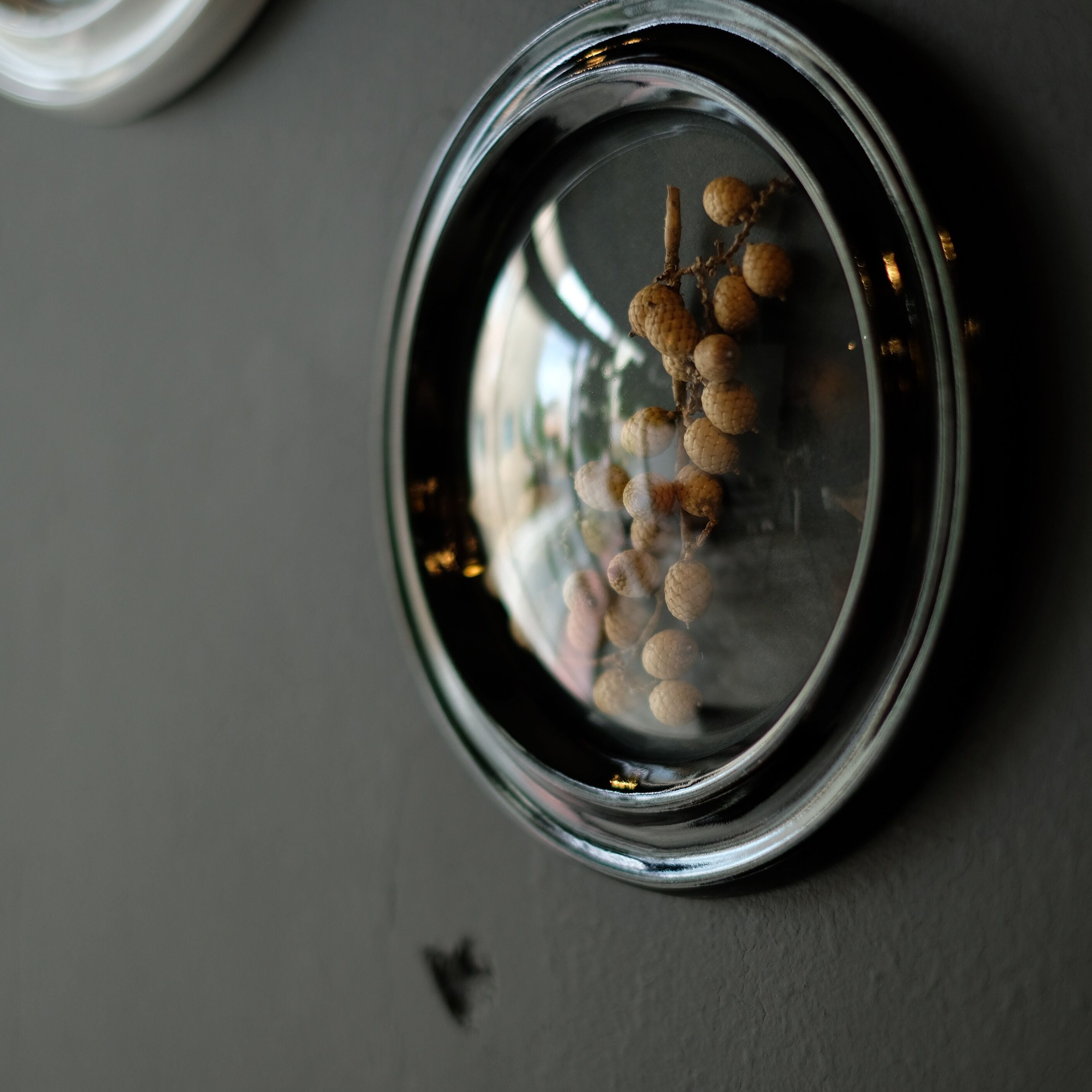 Convex Glass Case DF (S) | WEST VILLAGE TOKYO