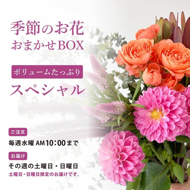 【定期便】季節のお花 おまかせBOX《スペシャル》｜毎月☆変更｜切り花・生花〈フラワーロス削減〉