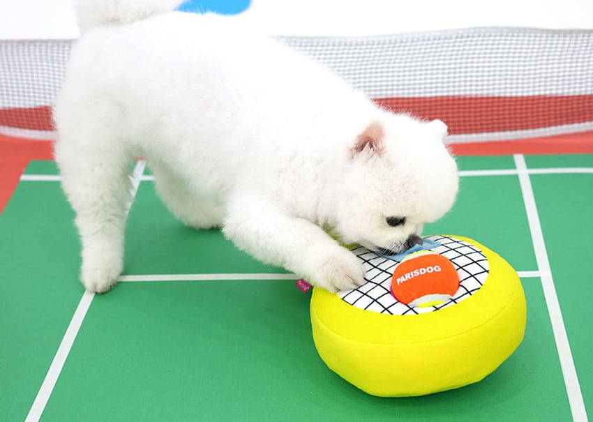 tennis multi toy / ノーズワーク ペット 犬 おもちゃ ボール シャカシャカ 知育玩具 nose work おやつ隠し 可愛い わんちゃん ストレス解消 toy カシャカシャ