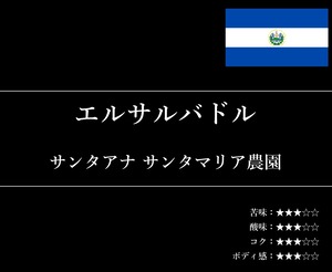 【通信販売:80g】エルサルバドル サンタアナ サンタマリア農園