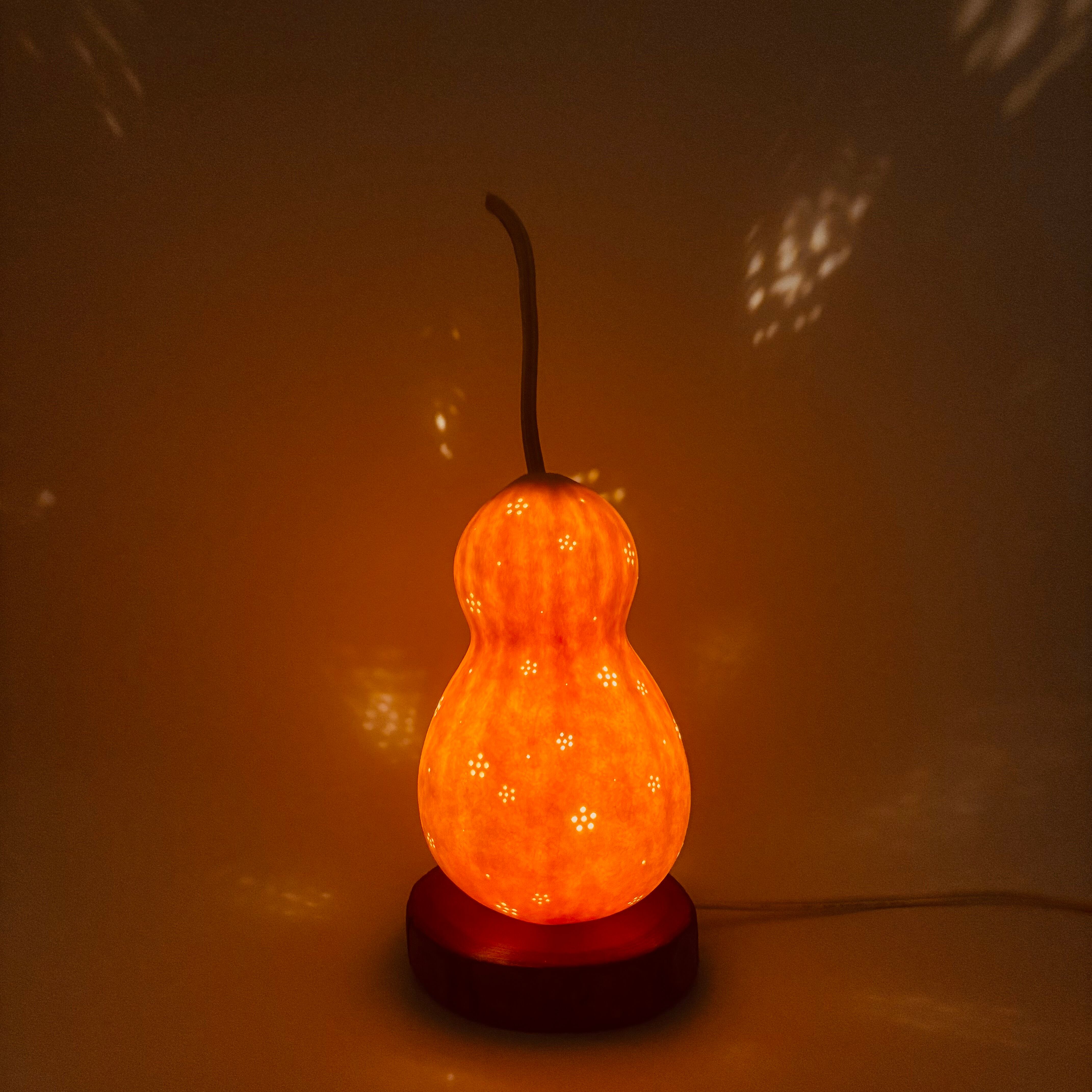 こつぼごけランプ08