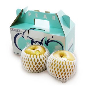 幻の梨「稲城・特大大玉 」2個入