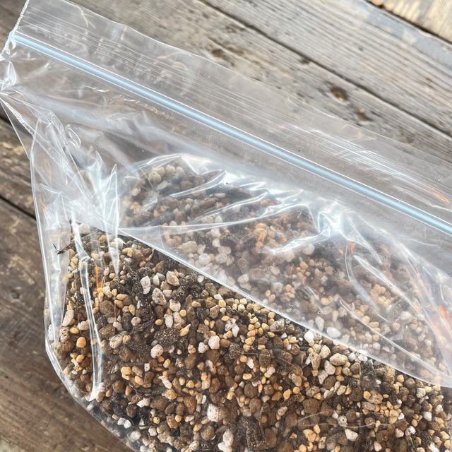 岡山県m様専用 ブレンド土 7種類 Rupo 多肉植物専門店 岡山県m様専用 ブレンド土 7種類 Rupo 多肉植物専門店