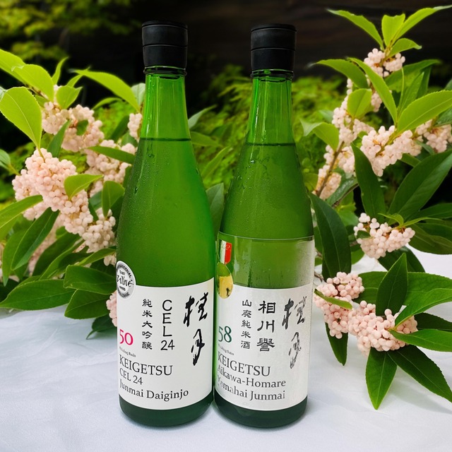 【御歳暮・ご贈答用にも】桂月　CEL24　純米大吟醸　50　＆　桂月　相川誉　山廃純米酒　58　720ml　２本セット