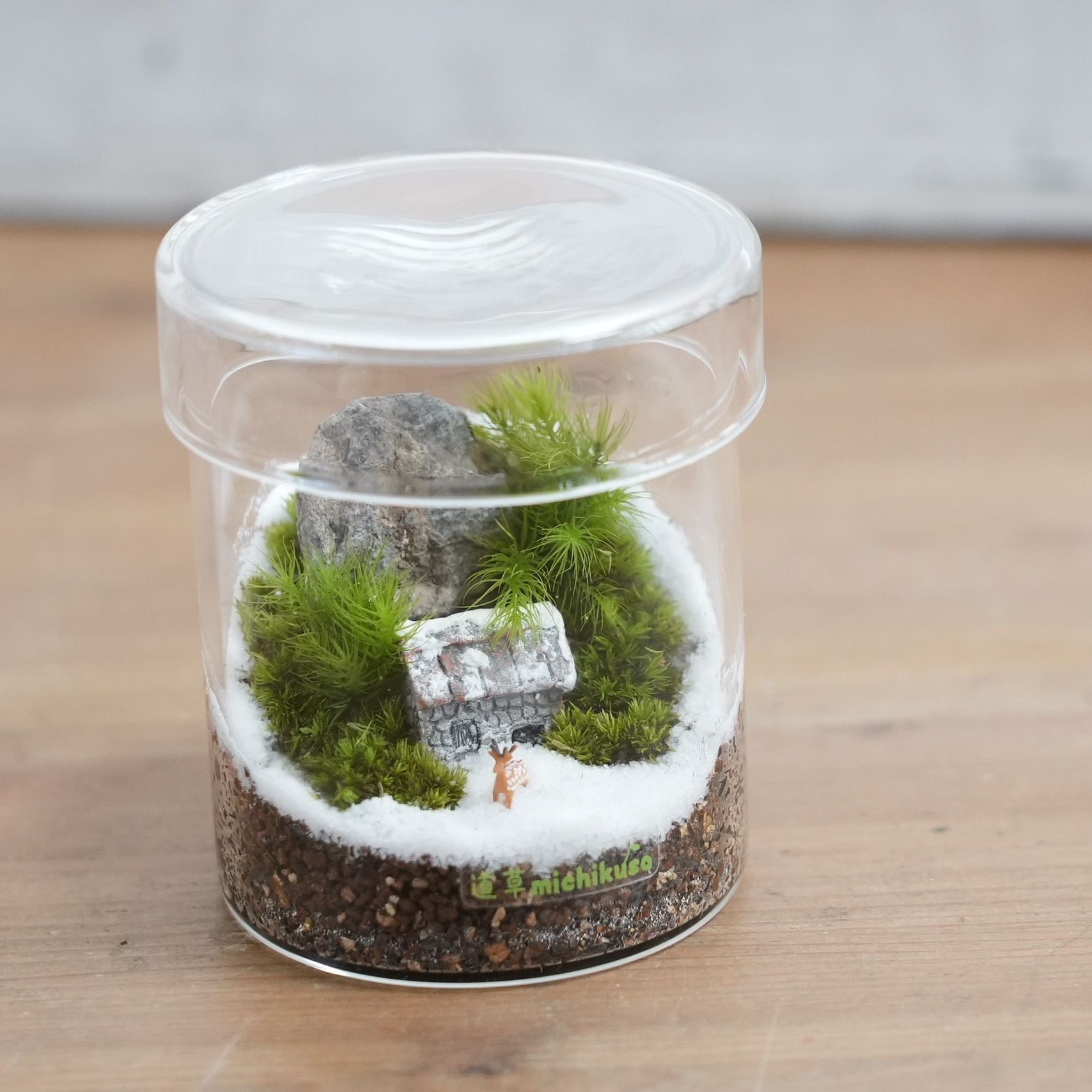 【クリスマスギフトに★】雪降る家のある苔テラリウム|シリンダーS