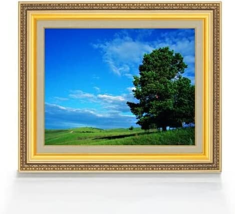 直筆仕上げ油絵【オリジナル】空と木と雲    F6　絵画   アート  インテリア 風景画