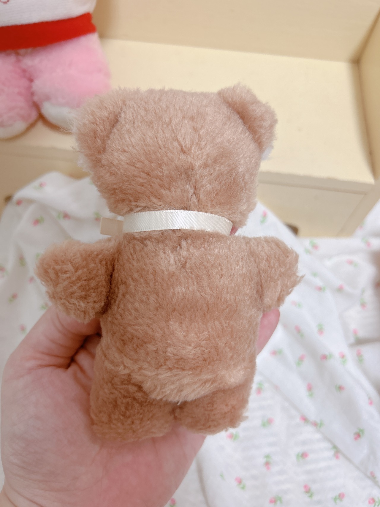 animalsの画像03