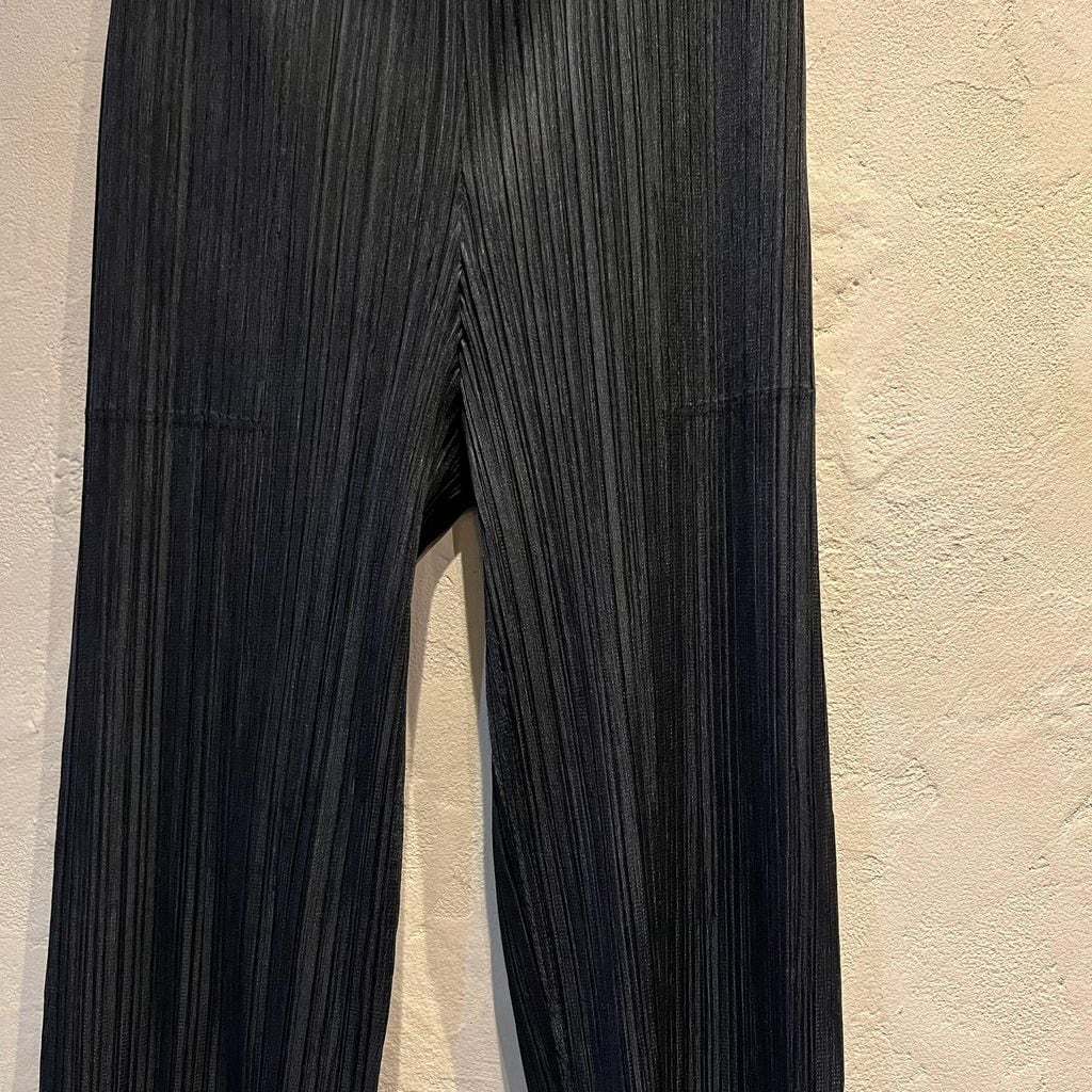 プリーツプリーズ　PP01-JF421 サイズ2 プリーツプリーズ PP01-JF421 サイズ2 imgrc0124041891.jpg