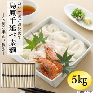 島原手延べ素麺（C-5　100束入り）(49)