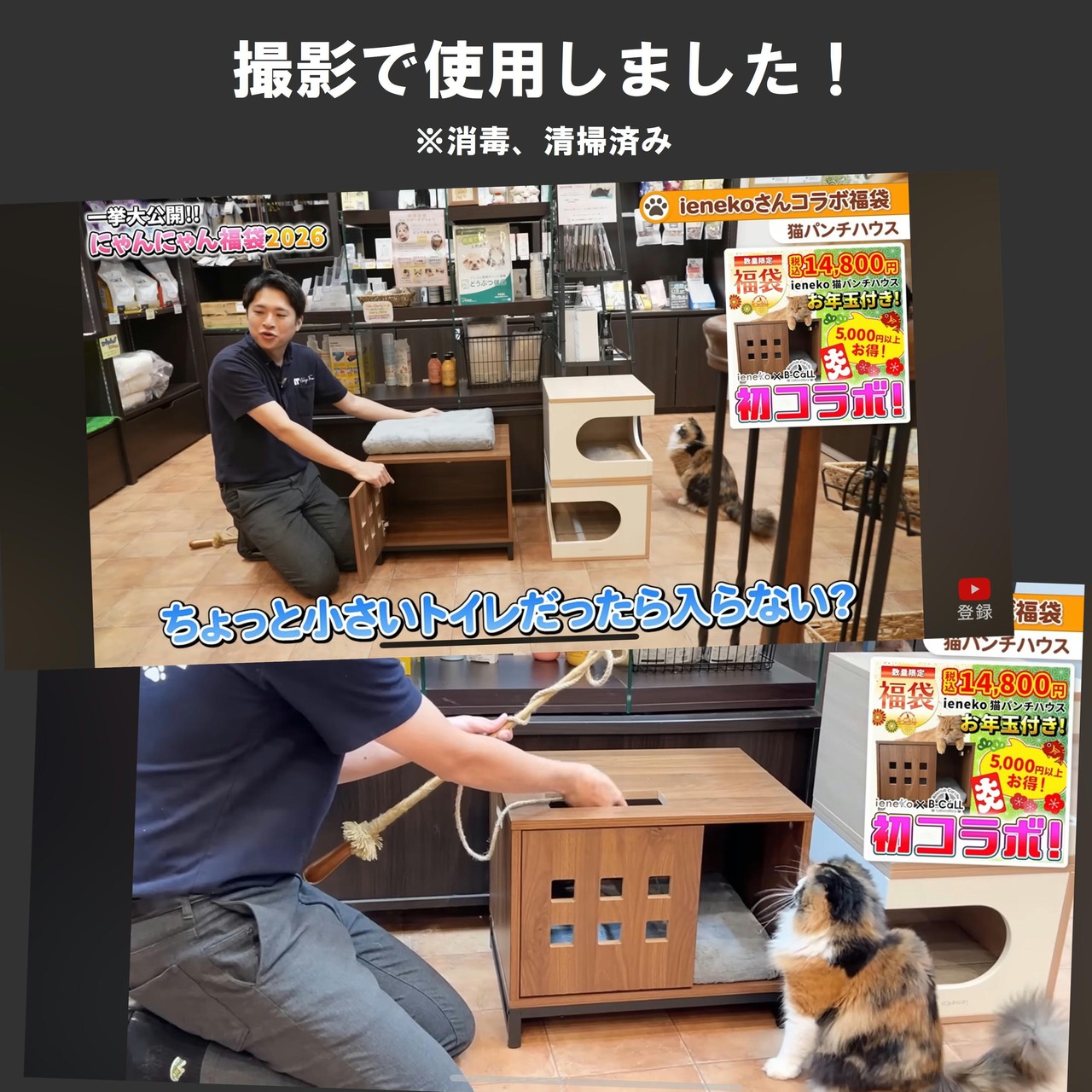 【訳アリ商品（組み立て品）】１台のみ,ダークブラウン,お年玉プレゼント付き！【ienekoコラボ福袋(初コラボ)】猫パンチハウス！柔らかクッション付き,合計20,000円以上相当の猫グッズ！人気おやつ,ウェットフード