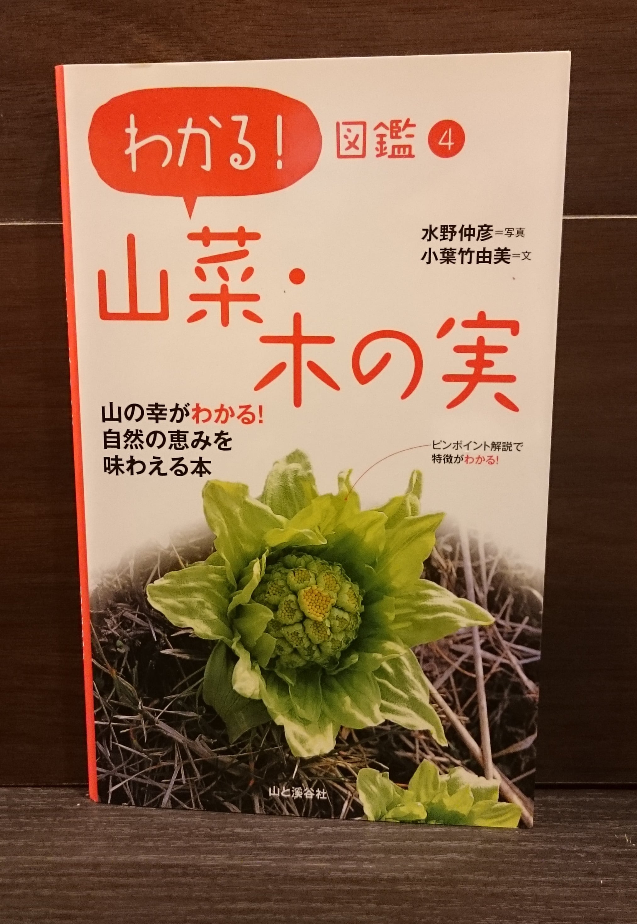 わかる！図鑑4　弥生坂　山菜・木の実　緑の本棚