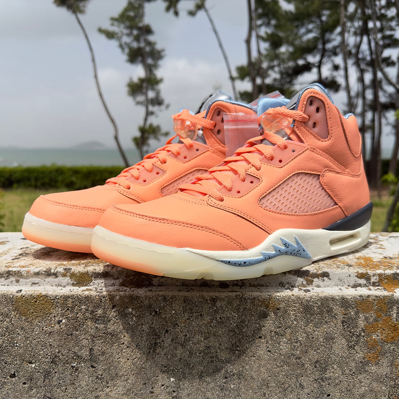 Nike Air Jordan 5 Crimson Bliss 29cm