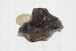 鰐魚水晶（アリゲーター、ジャカレー、エレスチャル）約65g