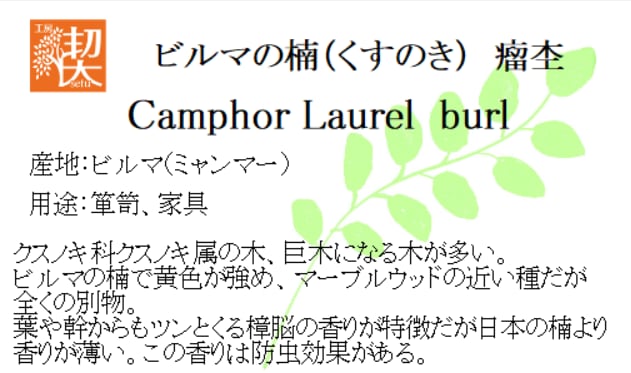 0.5mmペンシル楔 ビルマの楠（くすのき）瘤杢 4 | 工房 楔（せつ）