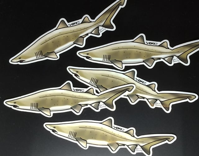 海のさかなステッカー シロワニ | おさかなイラスト 1/3Factory