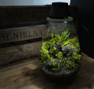 【オーダー作品】苔むす溶岩石のある景色−Mosslight LED−