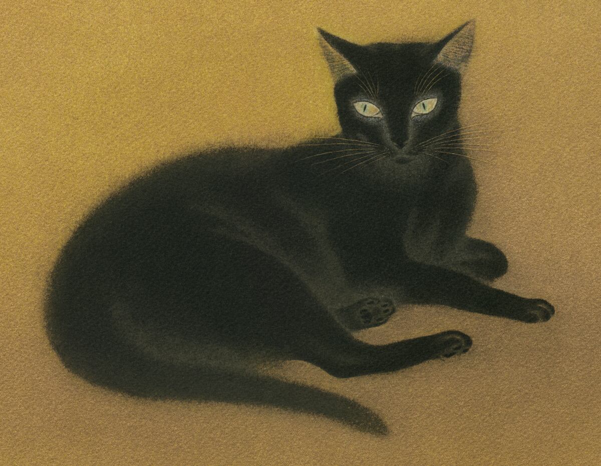 Black Cat Gold / Toshihiko Maemoto