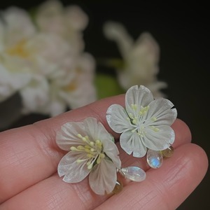 はじまりの桜　耳飾り