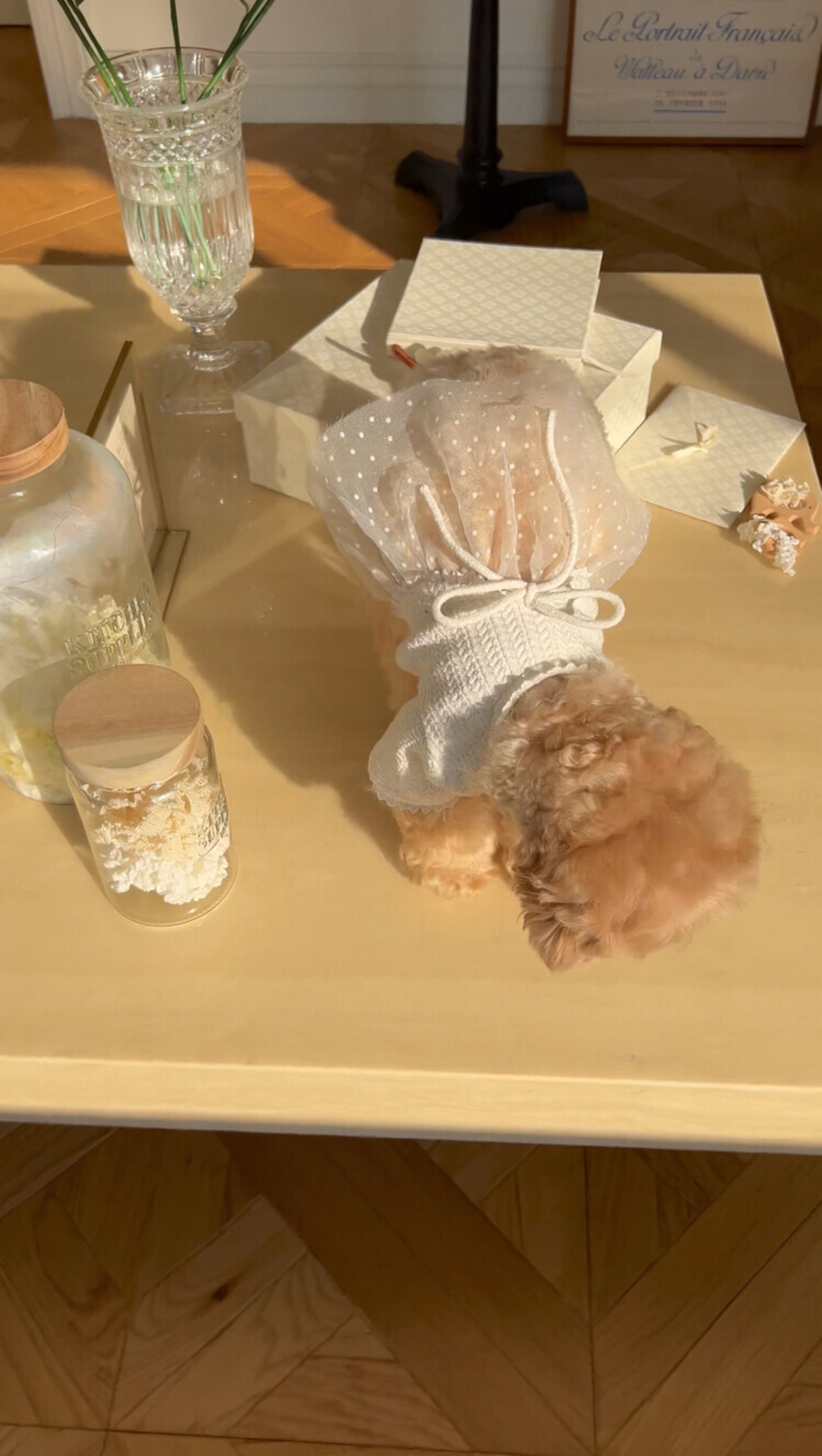 即納【SICGGU】クレールカーディガン