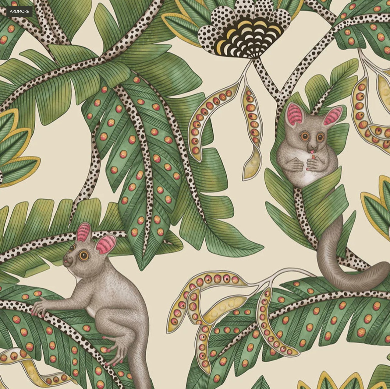 輸入壁紙　Cole & Son Bush Baby