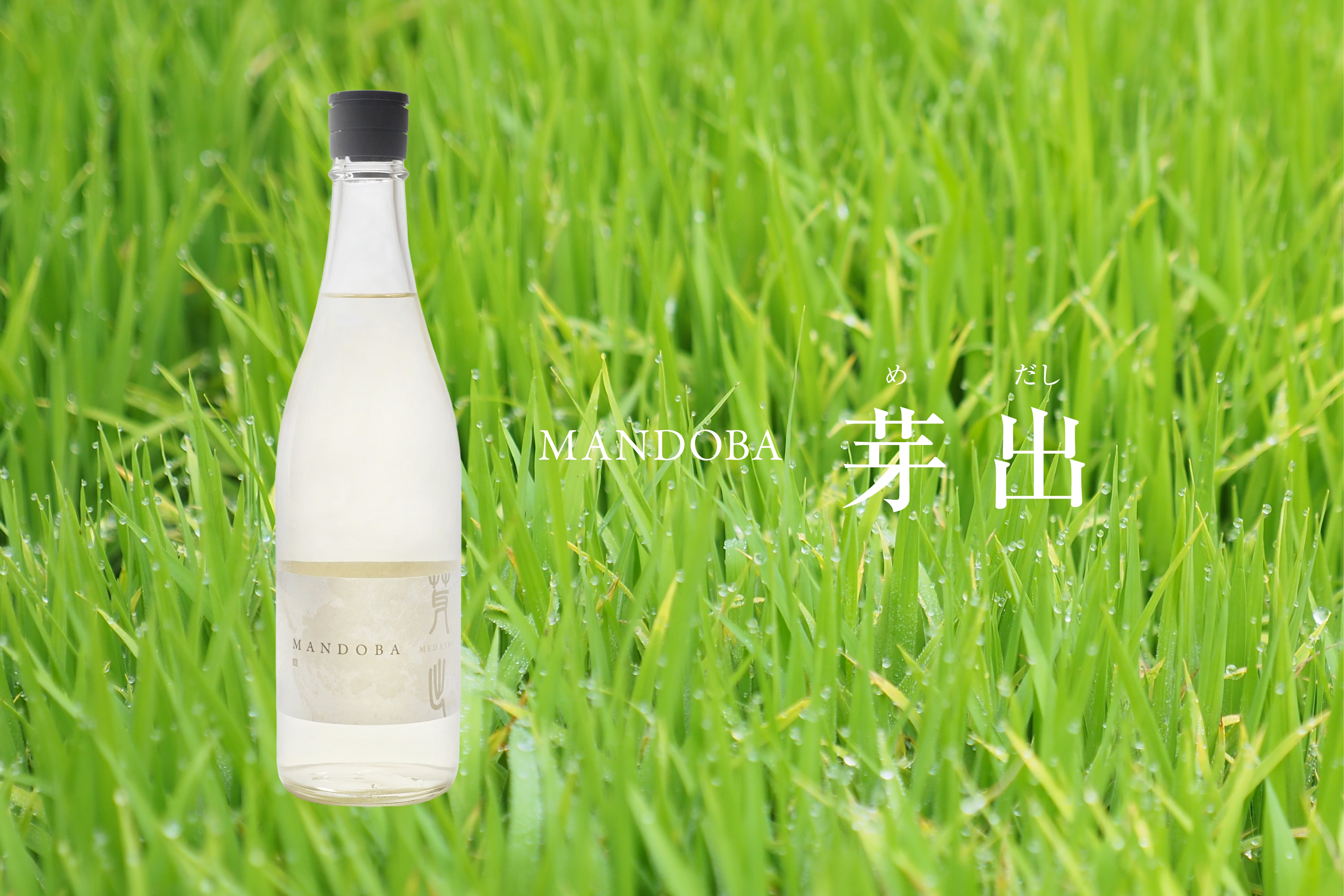 芽出 MEDASHI -MANDOBA- | MANDOBA 自然のめぐりが醸す酒
