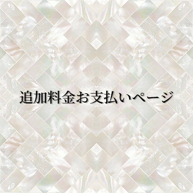 追加料金お手続きページ