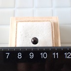軟骨ヘリックス16G 琉球ガラス