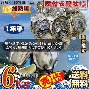 宮城県三陸・牡鹿半島産 加熱用 殻付き生牡蠣:一年子 6kg /箱 産地直送 送料無料