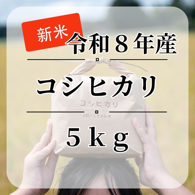 令和８年産・新米『コシヒカリ』【白米・無洗米】内容量10kg・送料無料
