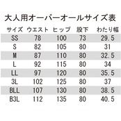 メンズ　デニムオーバーオール　ヒッコリー表