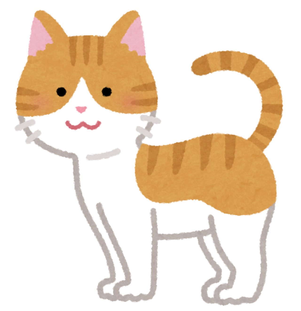 【定期便：2ヶ月】 合田さま専用　ヴィーガンキャットフード