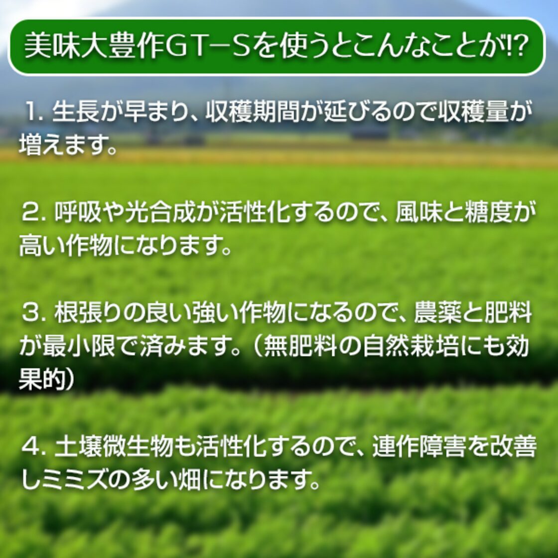 植物活力液 美味大豊作GT-S 500ml 作物が早く大きく育ち収穫量も増加 