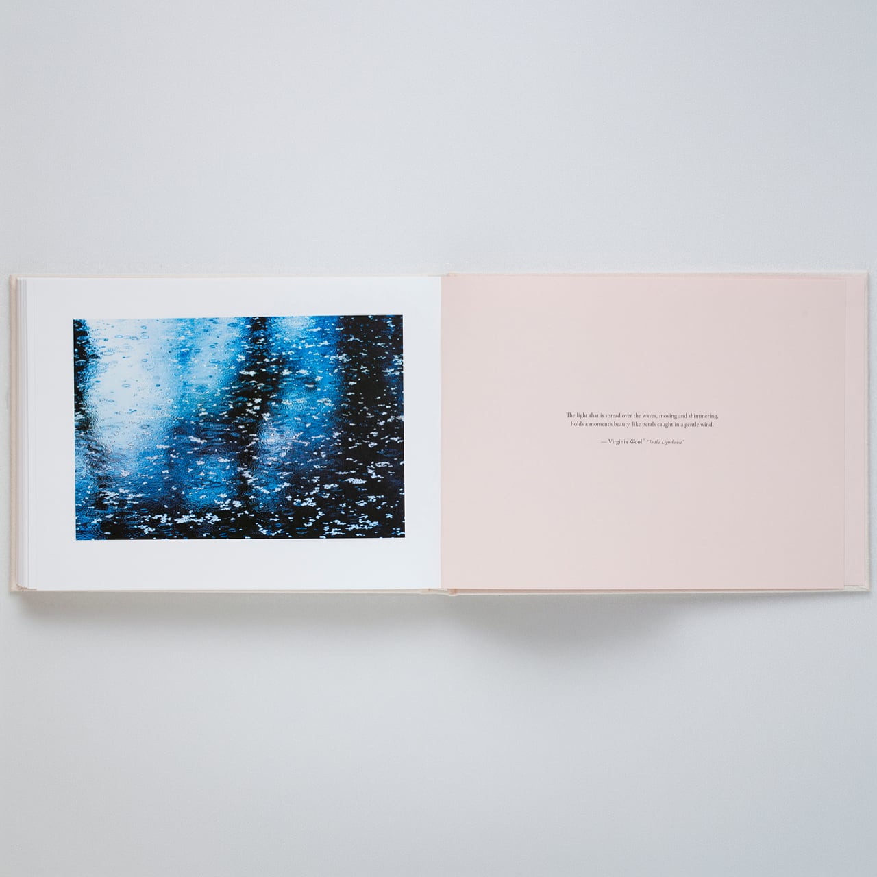【サイン入】蜷川実花: VIRA [Sky Edition] 蜷川実花: VIRA (signed)【表紙：SKY Edition】 - BOOK OF DAYS ONLINE