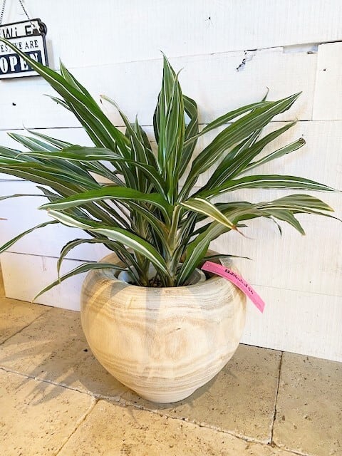 ナチュラルウッド鉢カバー ※7号鉢サイズ | Botanical56