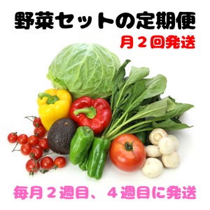 【定期便】野菜セット（月２回発送）